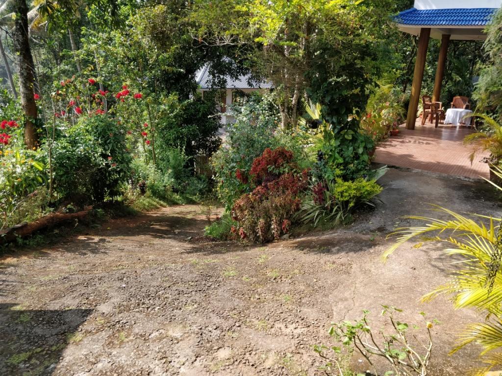 River View Inn Munnar Εξωτερικό φωτογραφία
