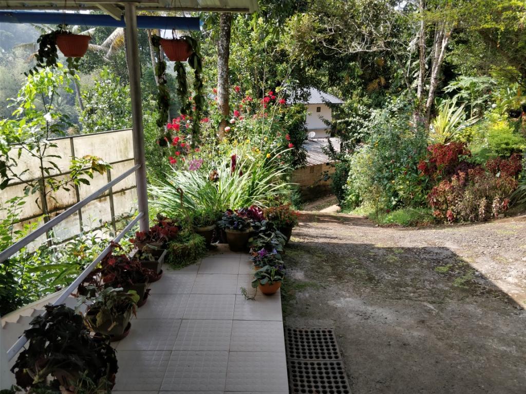 River View Inn Munnar Εξωτερικό φωτογραφία