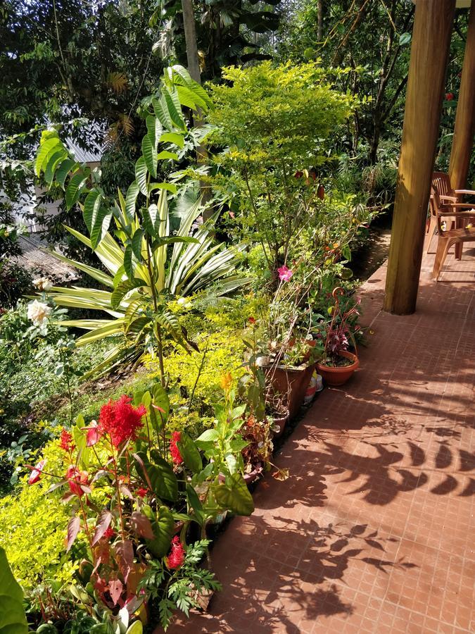 River View Inn Munnar Εξωτερικό φωτογραφία